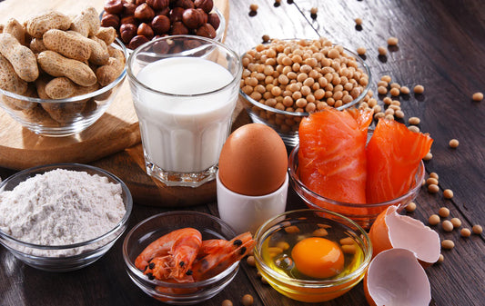 96 Food Panel IgG + IgA + IgG4